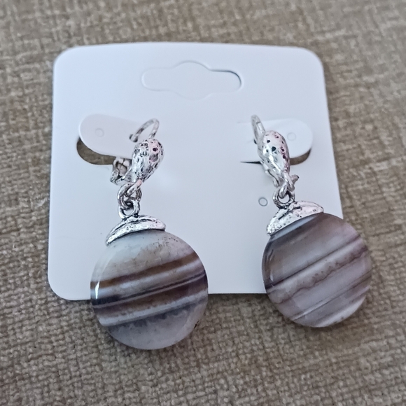 Silver Tone Leverback Brown Striped Stone Earrings - Picture 6 of 13
